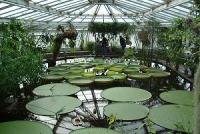 Il giardino botanico di Berlino - guida ai parchi tedeschi
